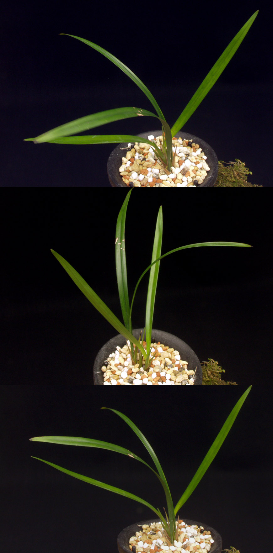 ������ ū������ �� �� �ֽ��ϴ�.