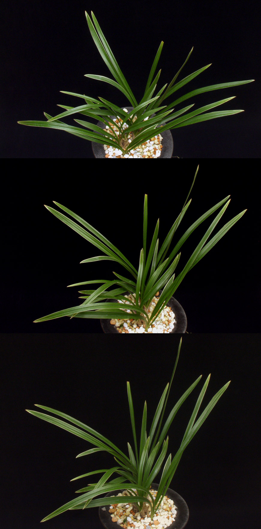 ������ ū������ �� �� �ֽ��ϴ�.