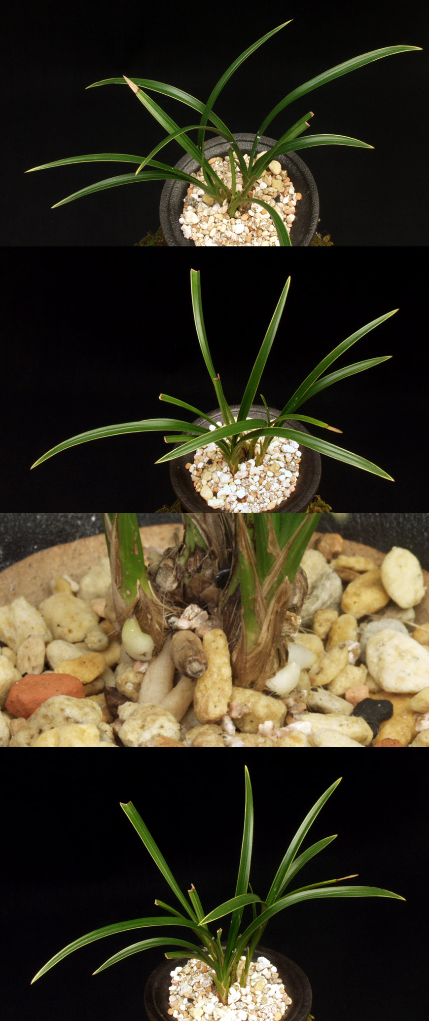 ������ ū������ �� �� �ֽ��ϴ�.