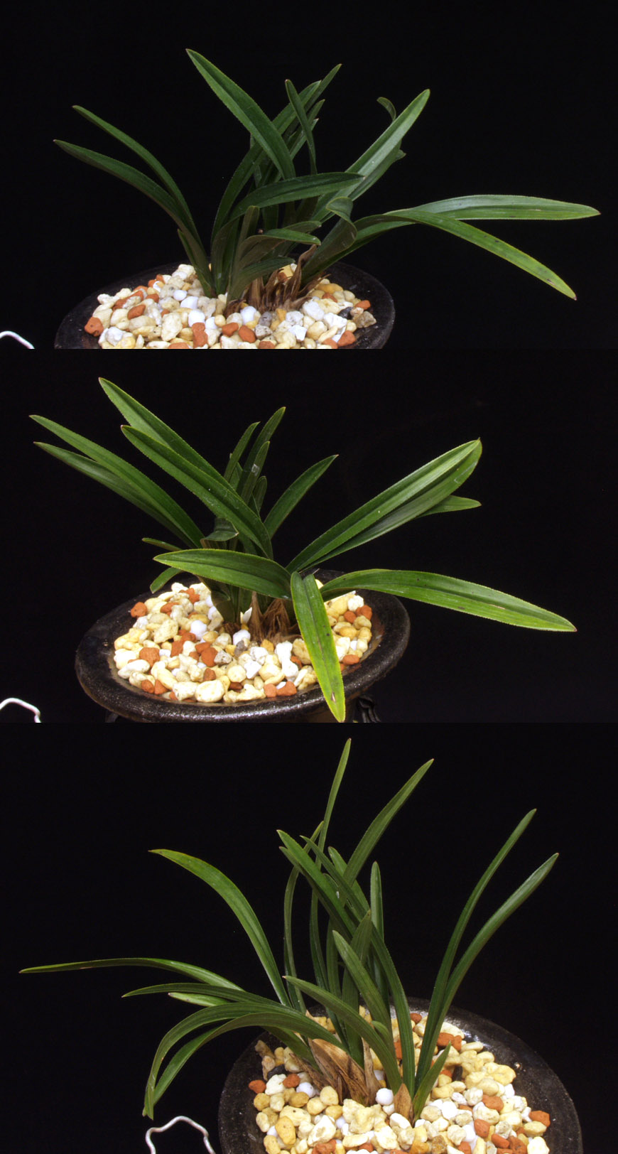 ������ ū������ �� �� �ֽ��ϴ�.