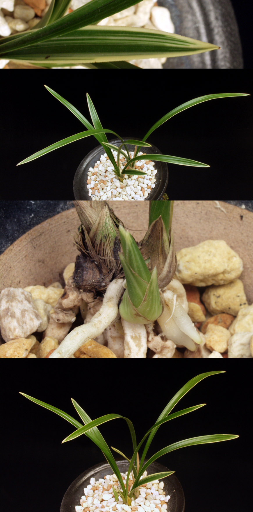 ������ ū������ �� �� �ֽ��ϴ�.