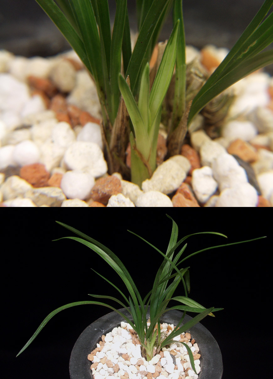 ������ ū������ �� �� �ֽ��ϴ�.