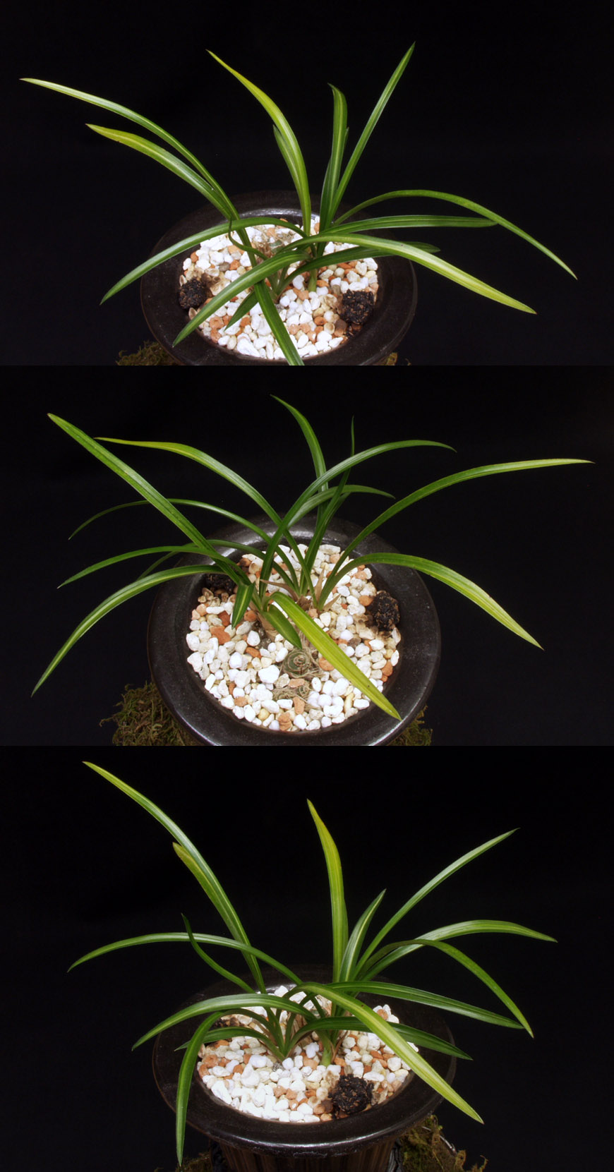 ������ ū������ �� �� �ֽ��ϴ�.