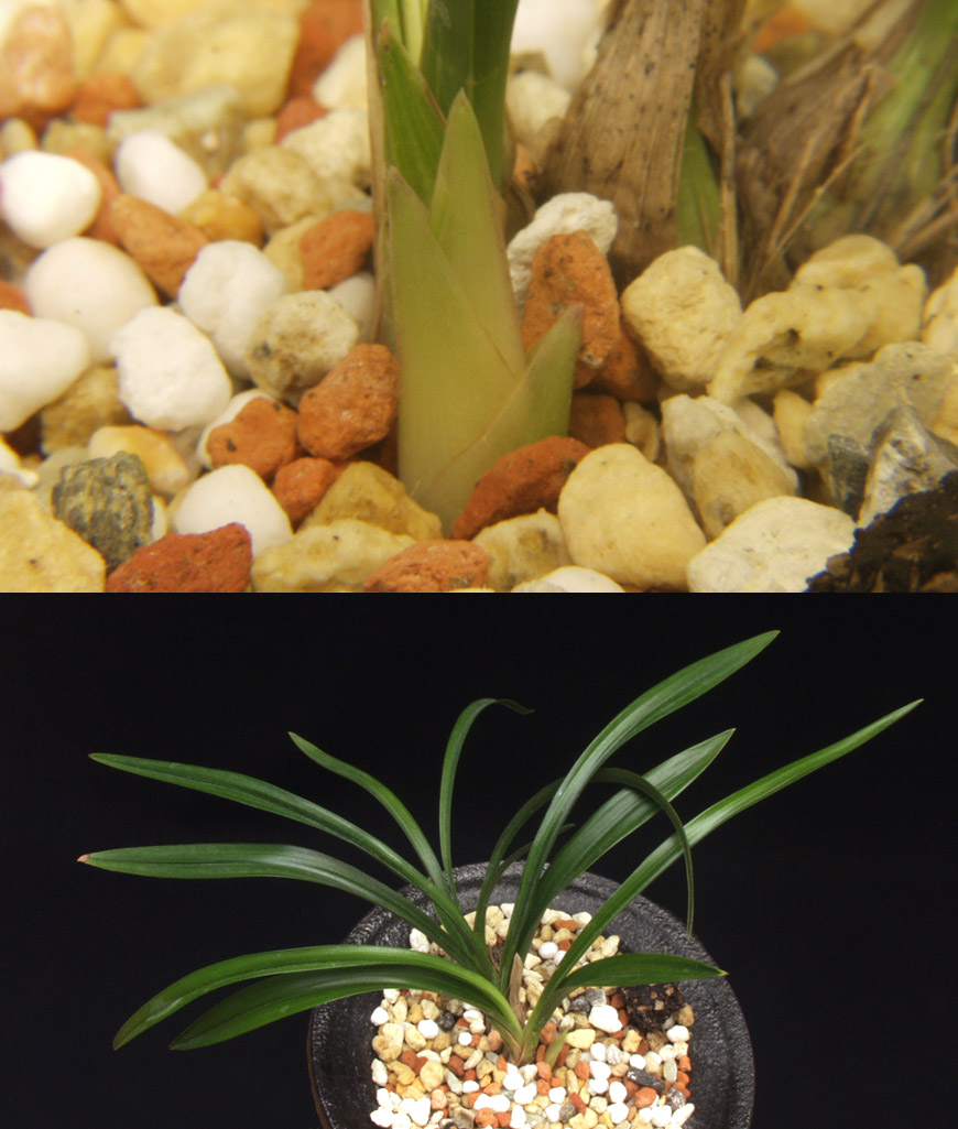 ������ ū������ �� �� �ֽ��ϴ�.