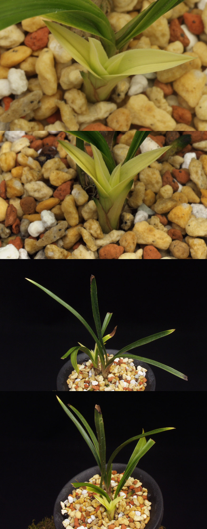 ������ ū������ �� �� �ֽ��ϴ�.