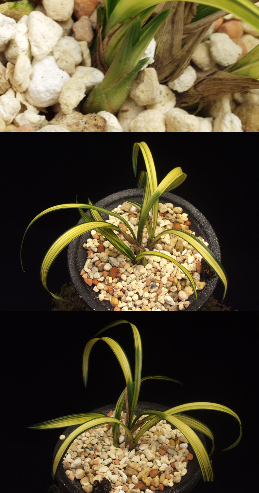 ������ ū������ �� �� �ֽ��ϴ�.