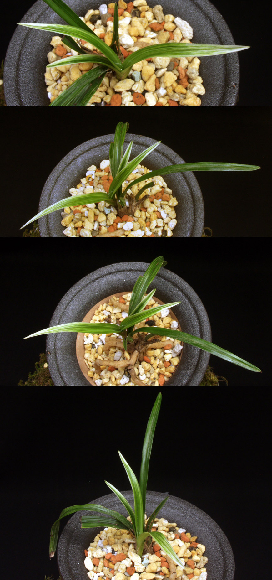 ������ ū������ �� �� �ֽ��ϴ�.