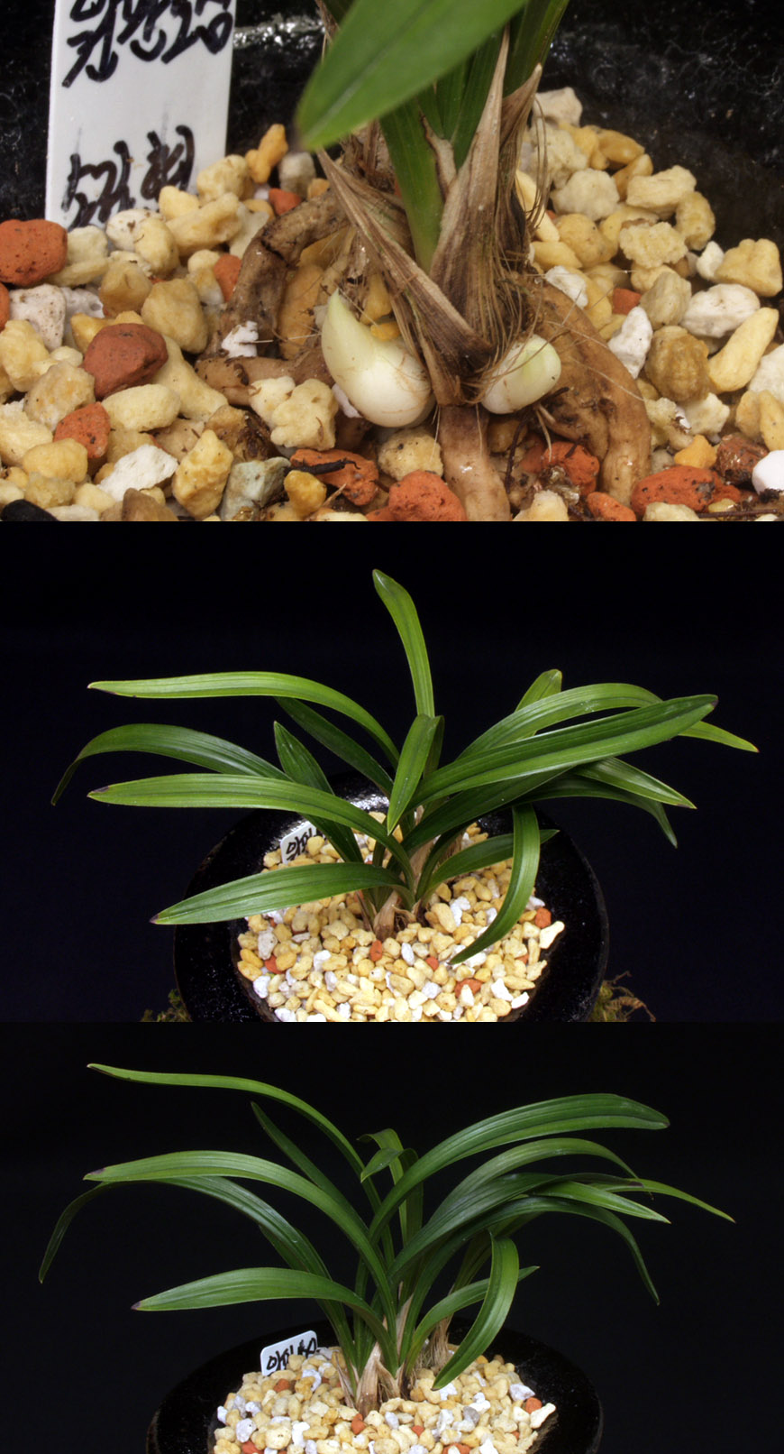 ������ ū������ �� �� �ֽ��ϴ�.