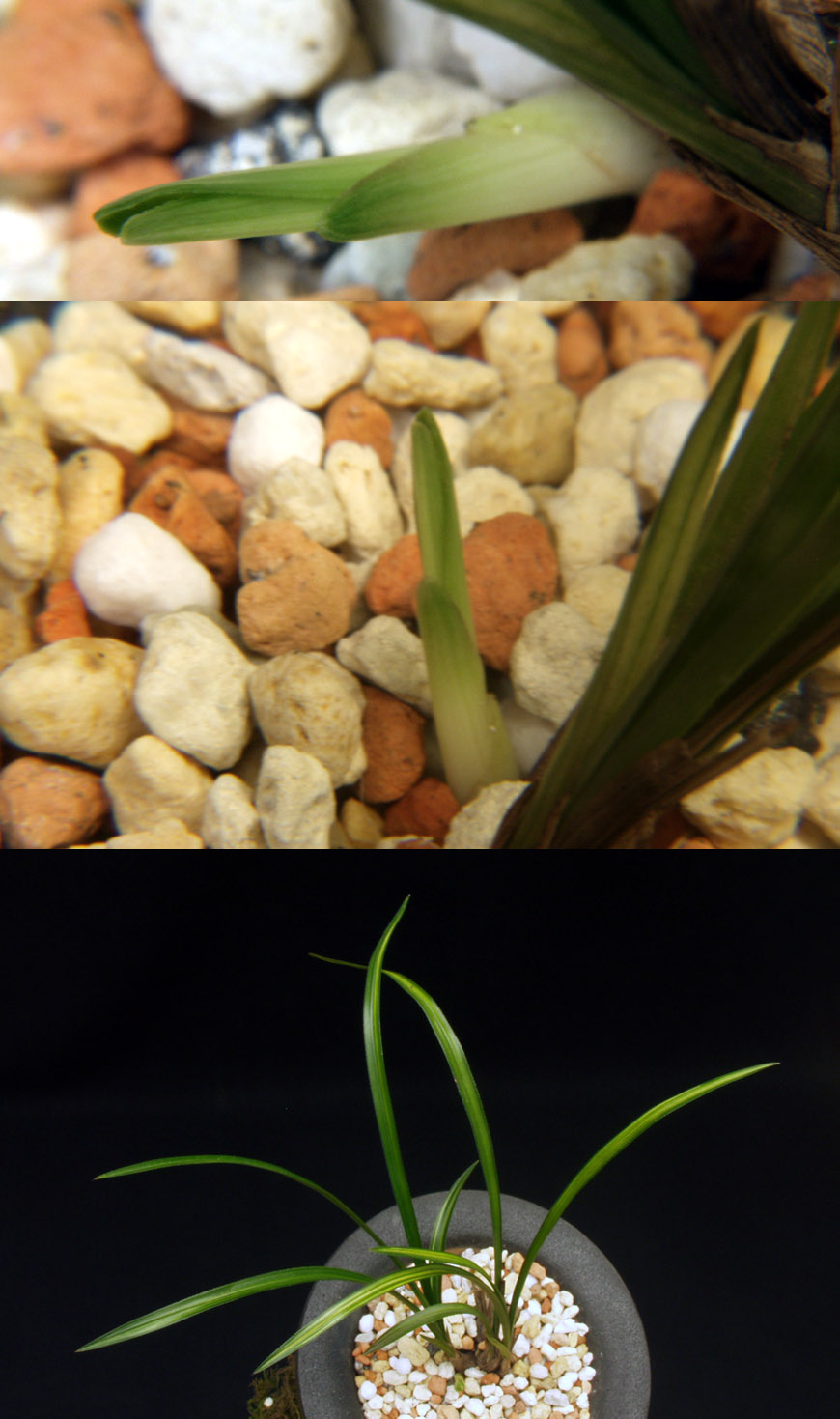 ������ ū������ �� �� �ֽ��ϴ�.