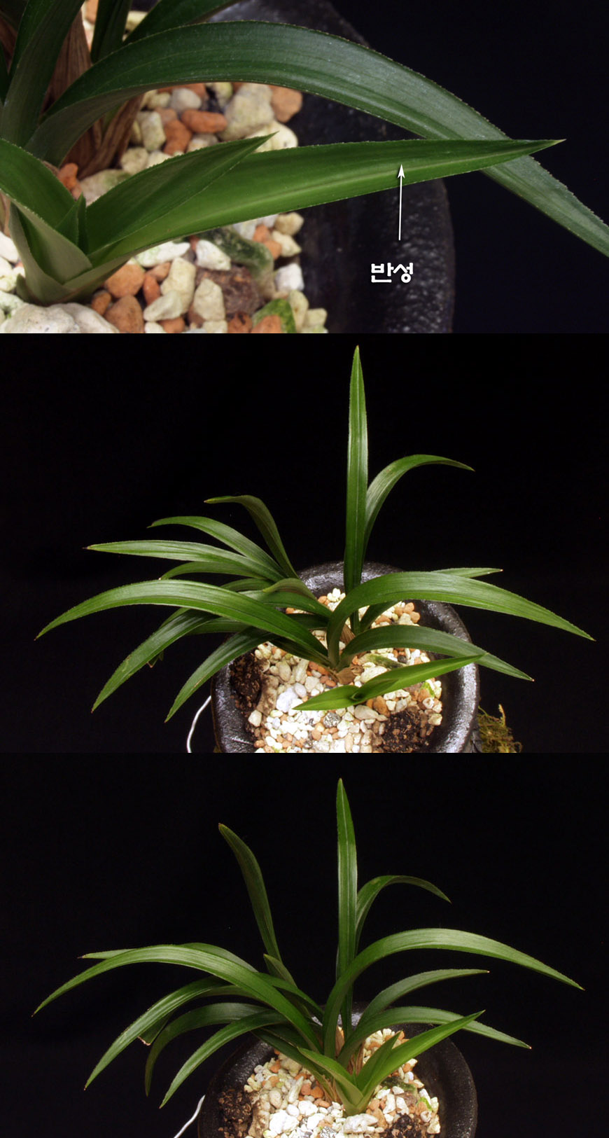 ������ ū������ �� �� �ֽ��ϴ�.