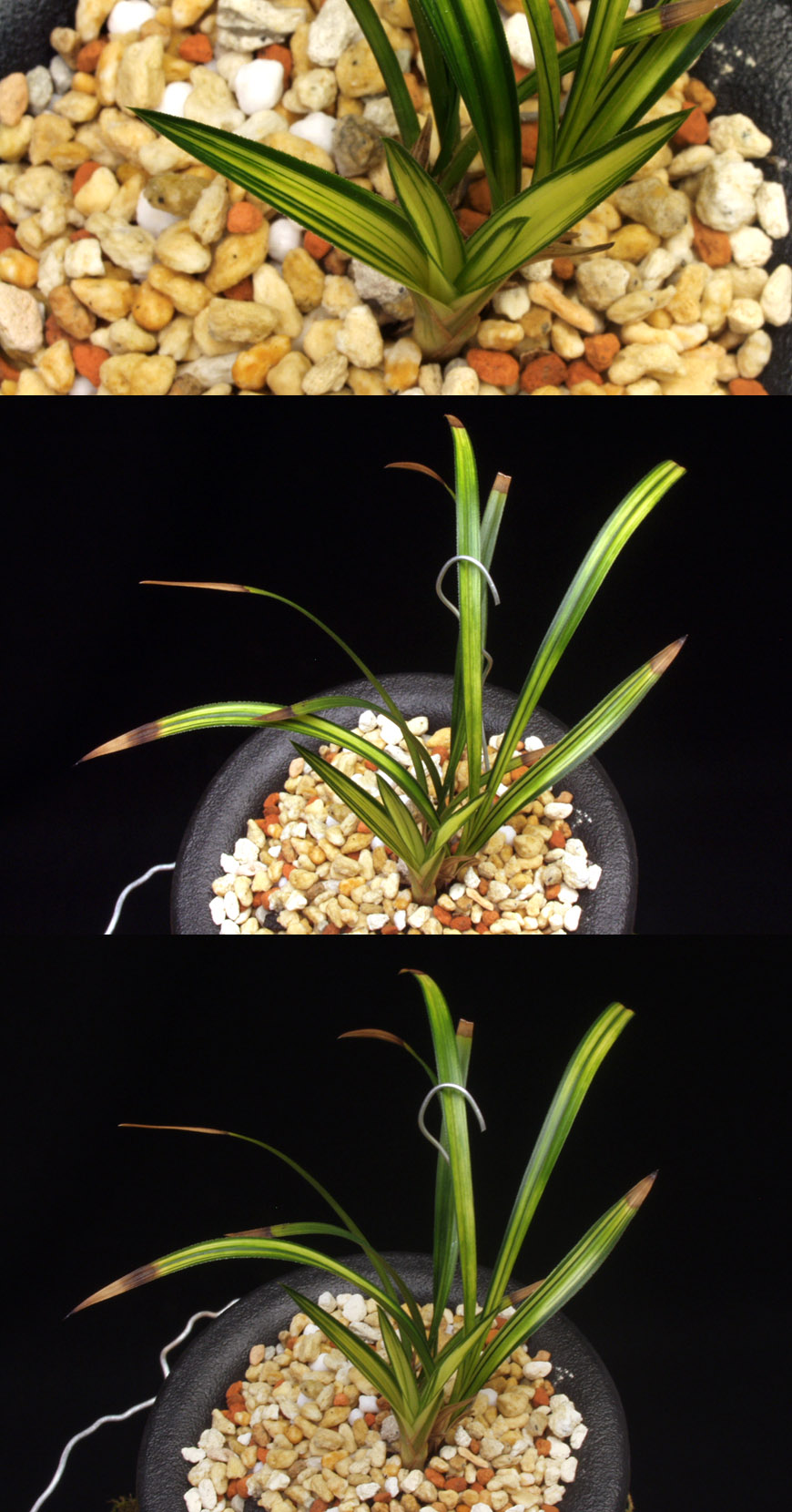 ������ ū������ �� �� �ֽ��ϴ�.