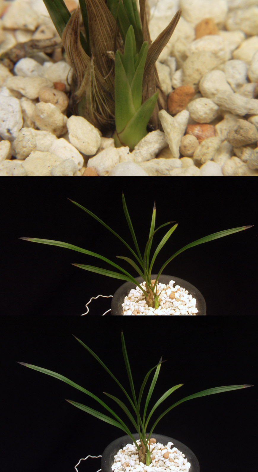 ������ ū������ �� �� �ֽ��ϴ�.