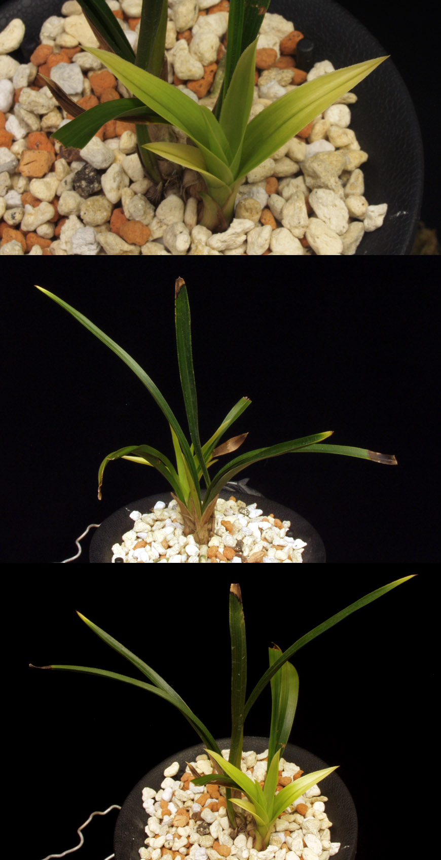 ������ ū������ �� �� �ֽ��ϴ�.