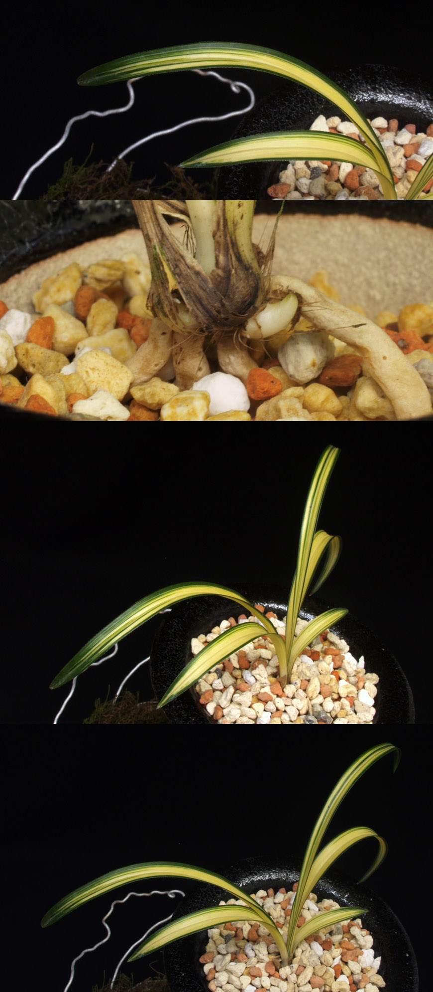 ������ ū������ �� �� �ֽ��ϴ�.