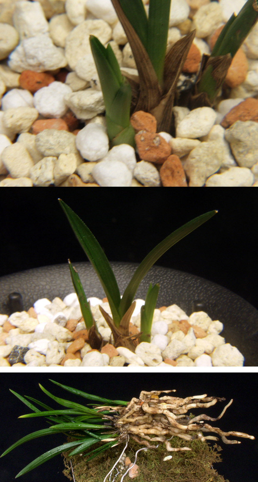 ������ ū������ �� �� �ֽ��ϴ�.