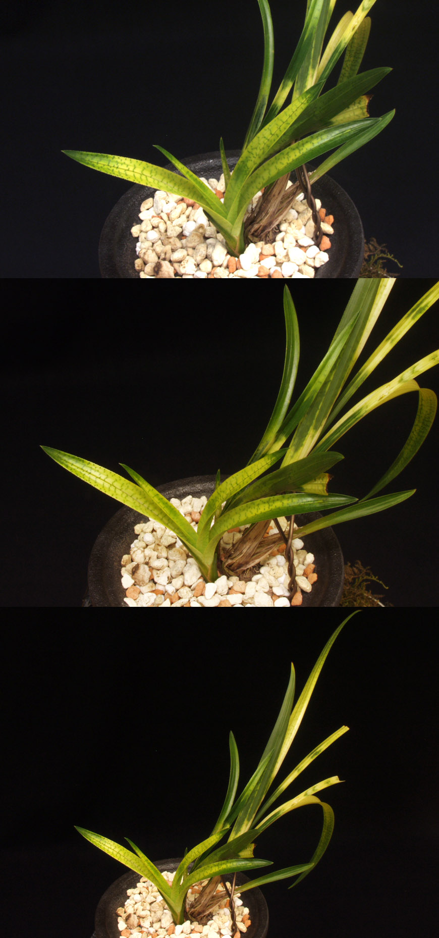 ������ ū������ �� �� �ֽ��ϴ�.