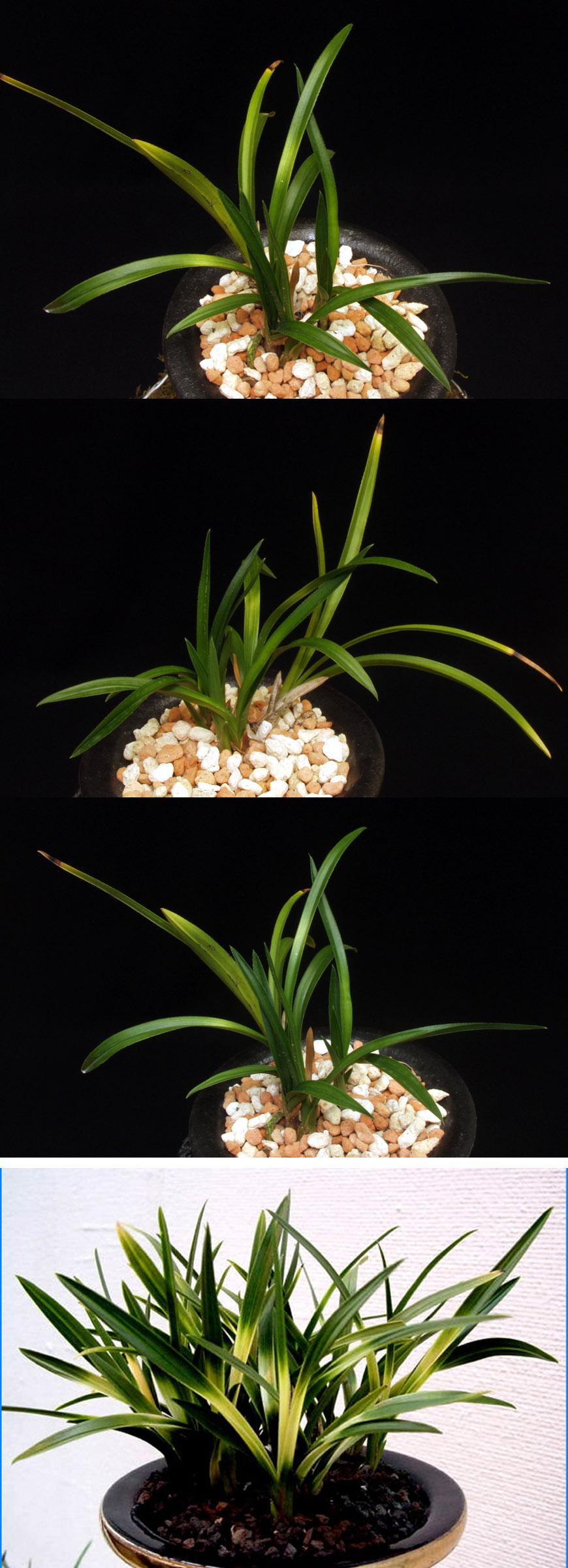 ������ ū������ �� �� �ֽ��ϴ�.