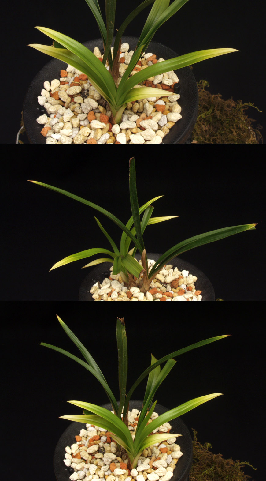 ������ ū������ �� �� �ֽ��ϴ�.