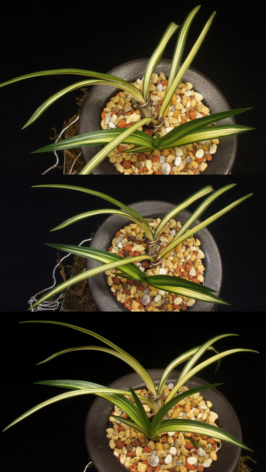 ������ ū������ �� �� �ֽ��ϴ�.