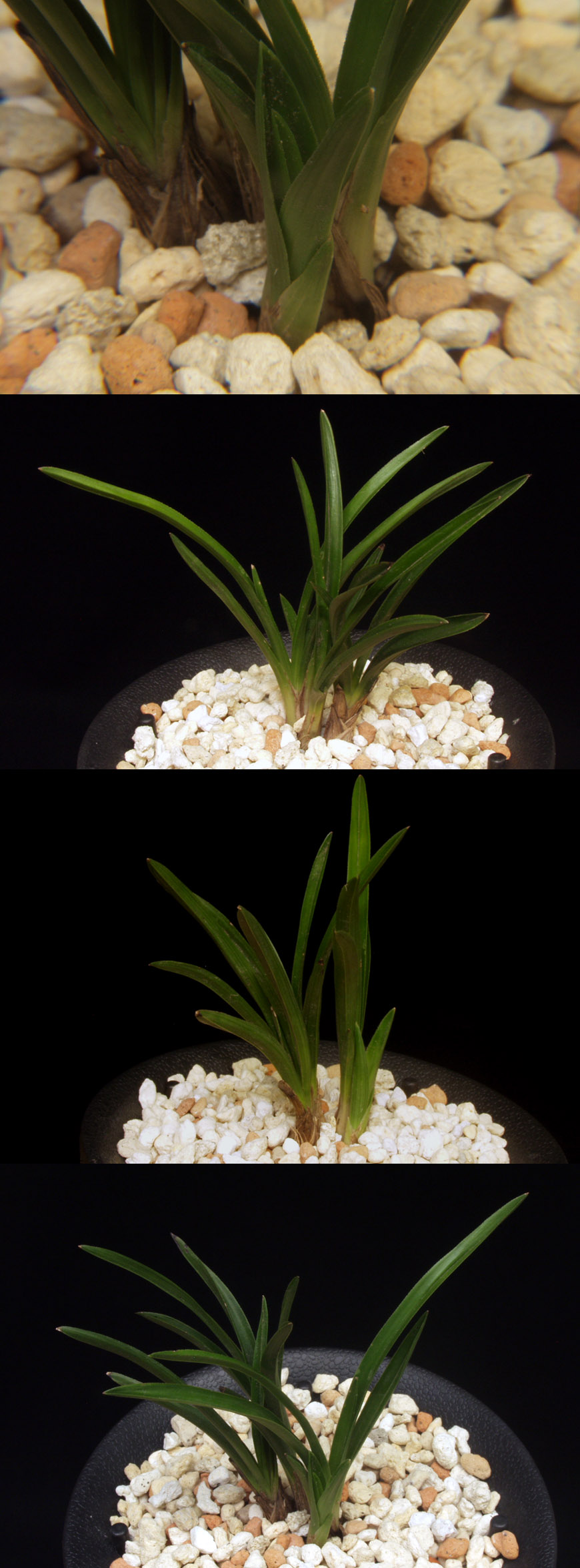 ������ ū������ �� �� �ֽ��ϴ�.