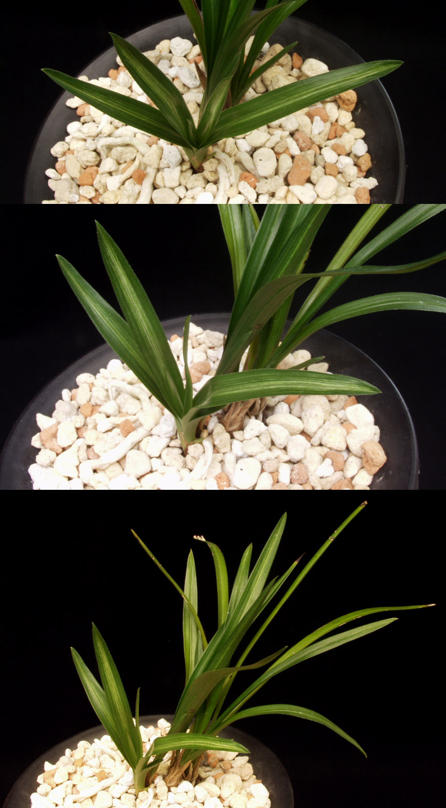 ������ ū������ �� �� �ֽ��ϴ�.