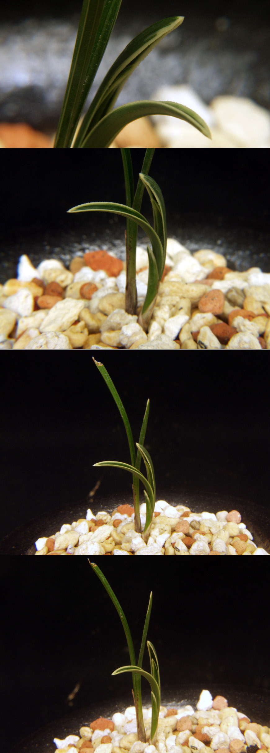 ������ ū������ �� �� �ֽ��ϴ�.