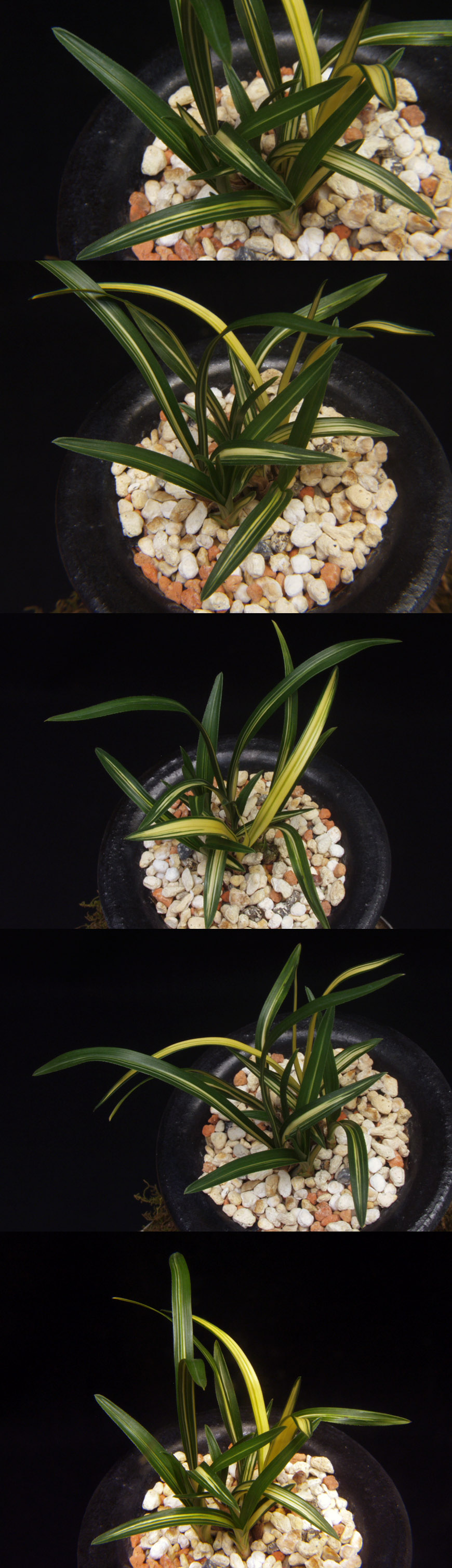 ������ ū������ �� �� �ֽ��ϴ�.