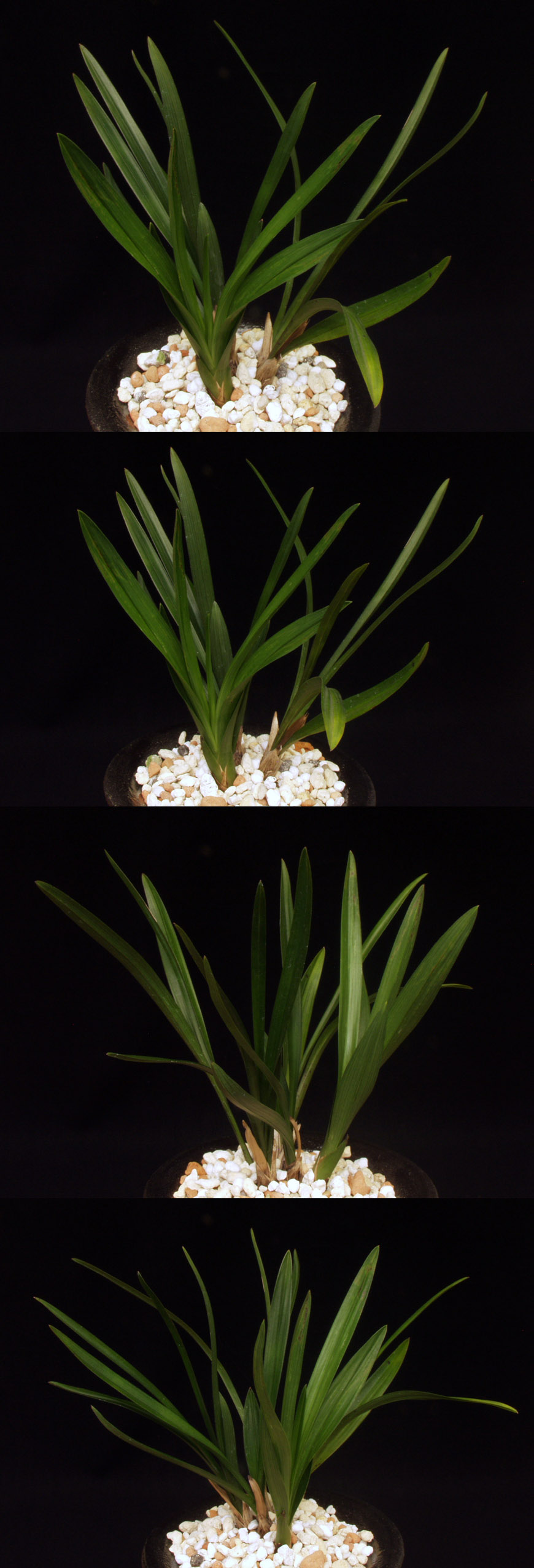 ������ ū������ �� �� �ֽ��ϴ�.