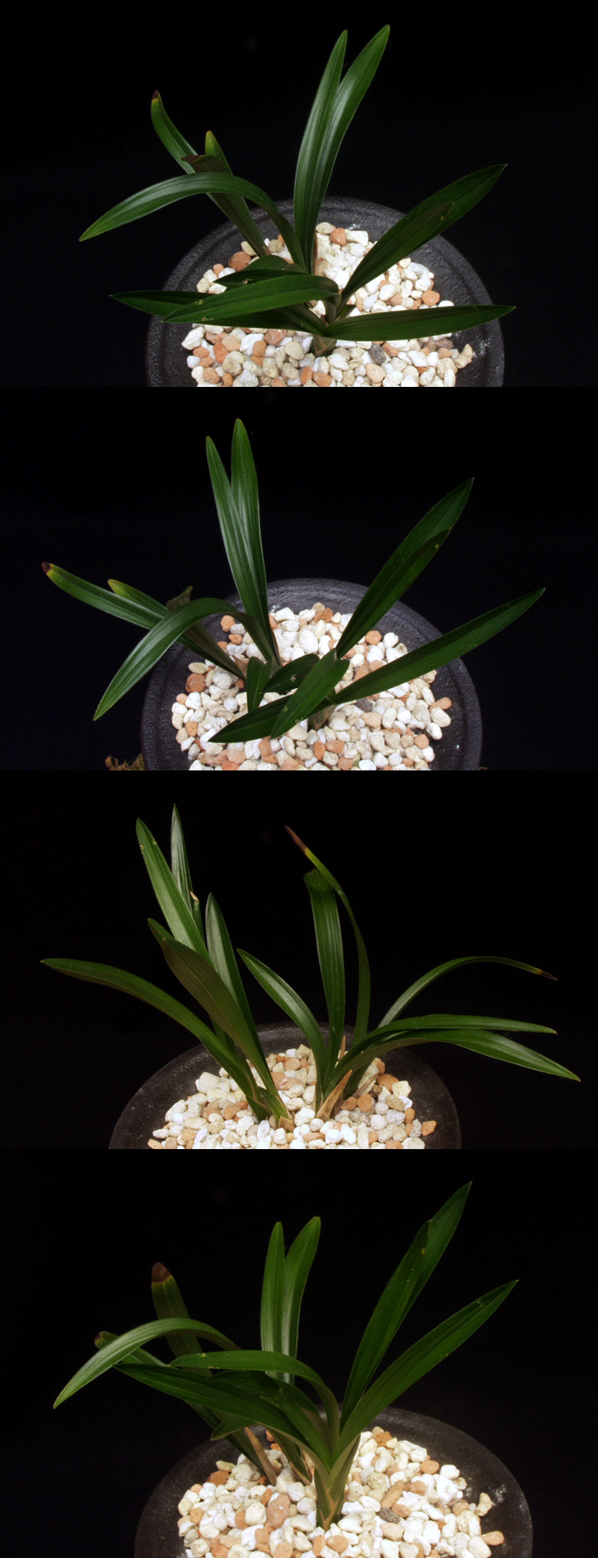 ������ ū������ �� �� �ֽ��ϴ�.