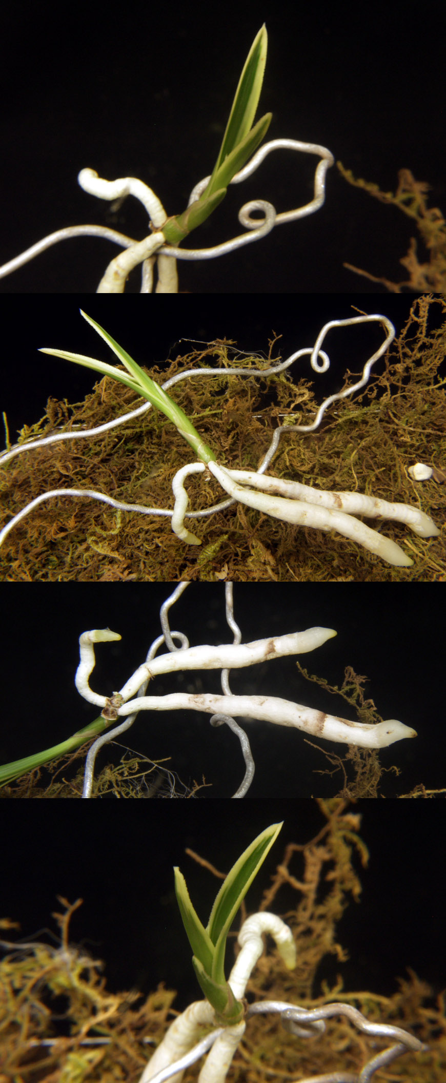 ������ ū������ �� �� �ֽ��ϴ�.