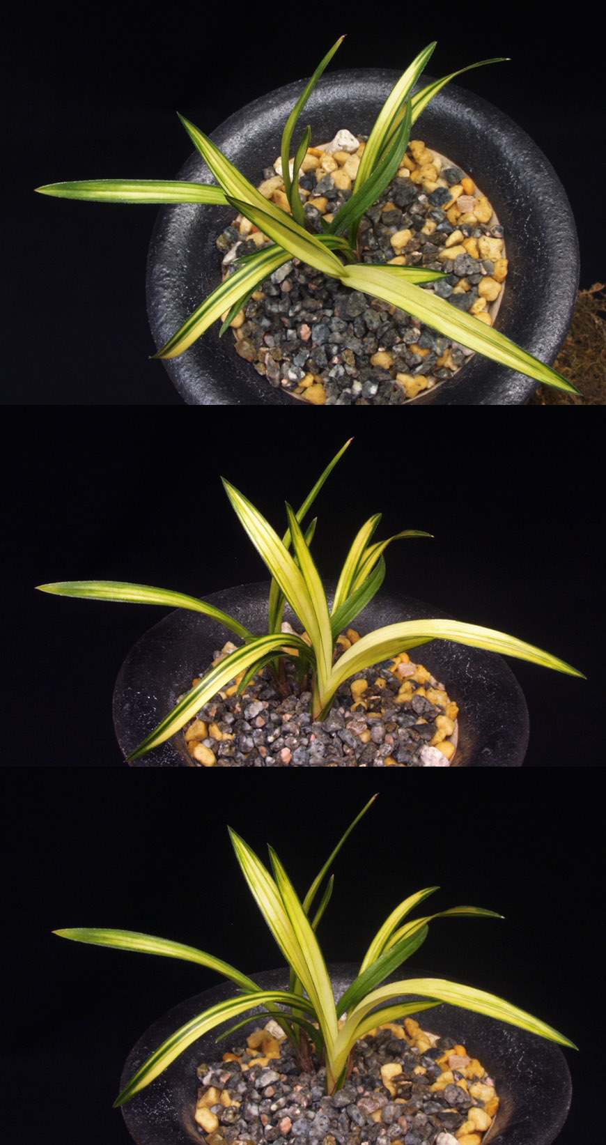 ������ ū������ �� �� �ֽ��ϴ�.