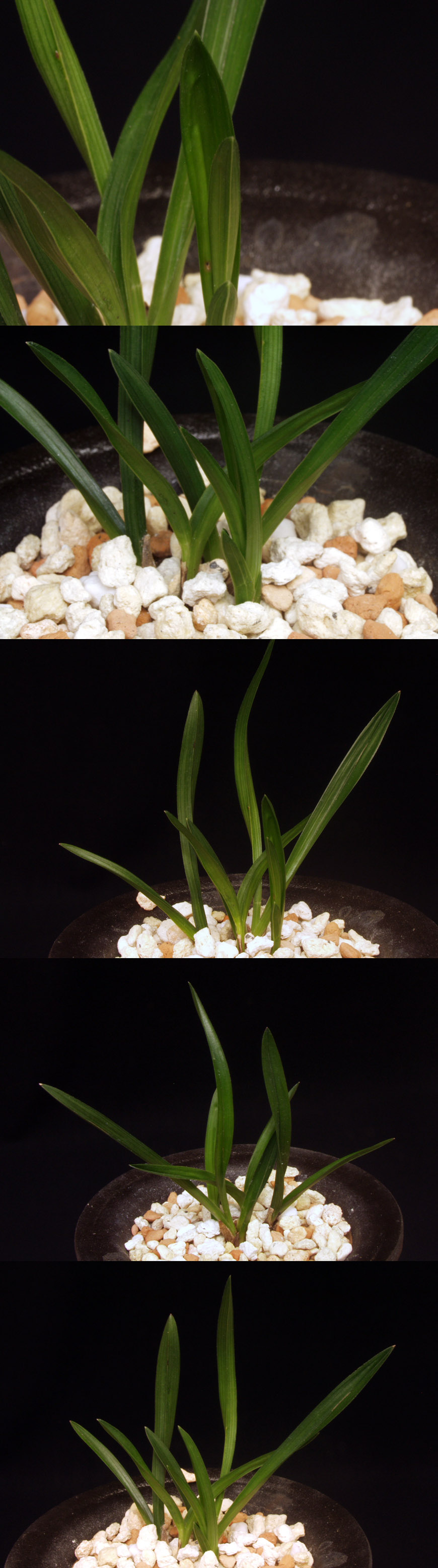 ������ ū������ �� �� �ֽ��ϴ�.