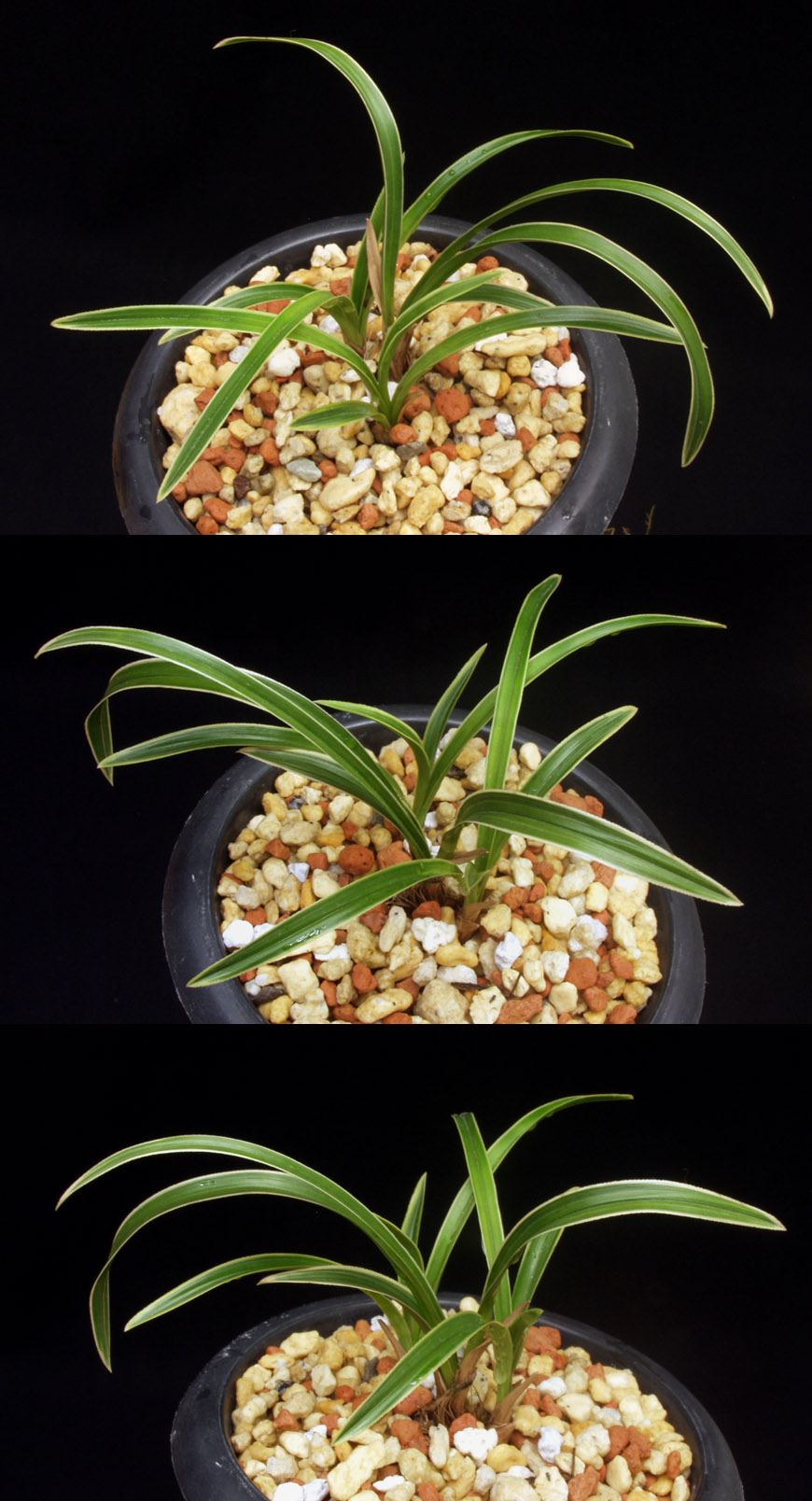 ������ ū������ �� �� �ֽ��ϴ�.