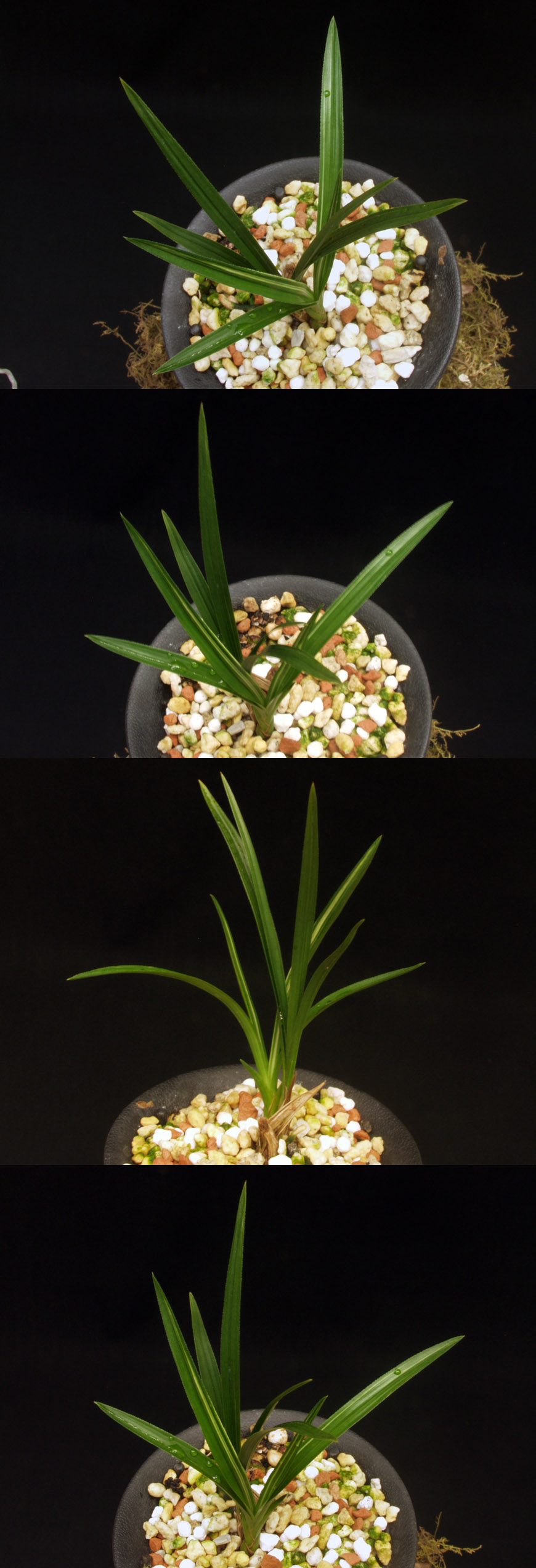 ������ ū������ �� �� �ֽ��ϴ�.