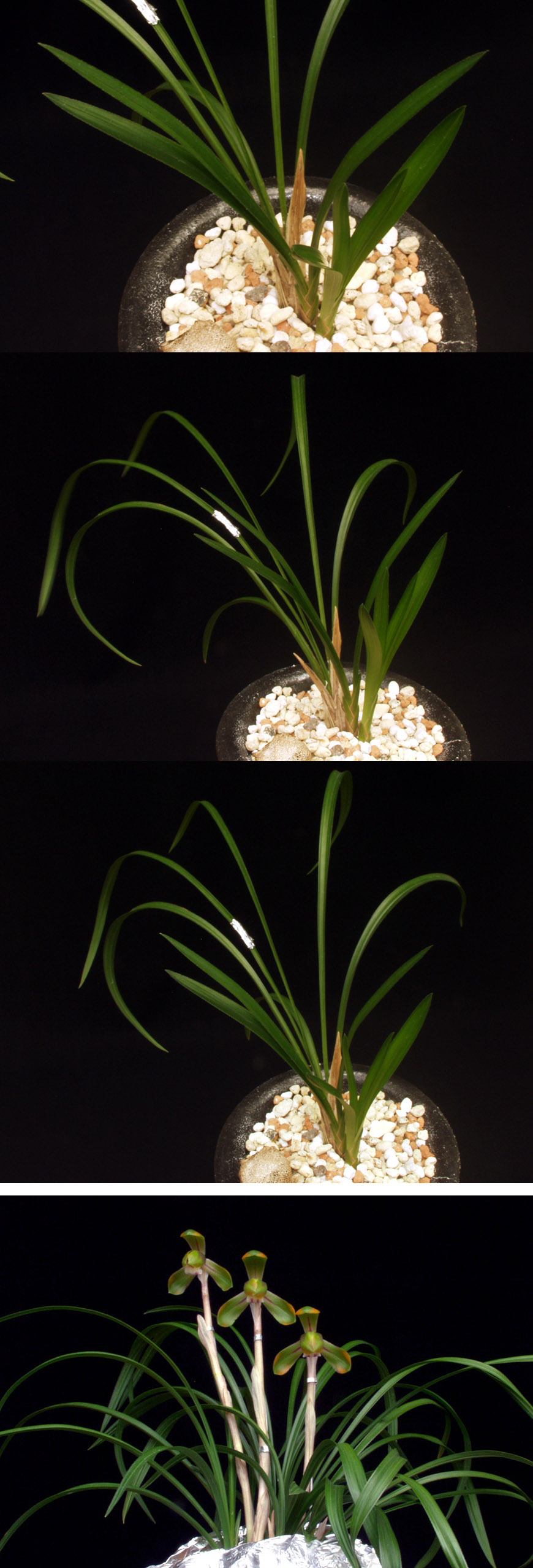 ������ ū������ �� �� �ֽ��ϴ�.