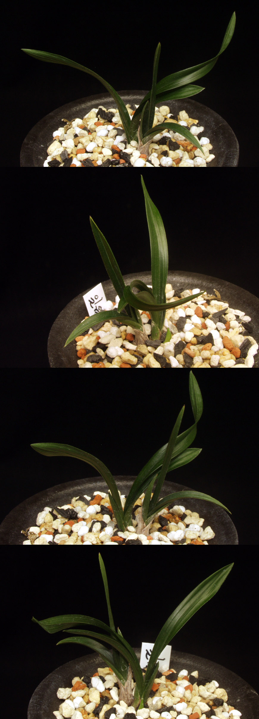 ������ ū������ �� �� �ֽ��ϴ�.