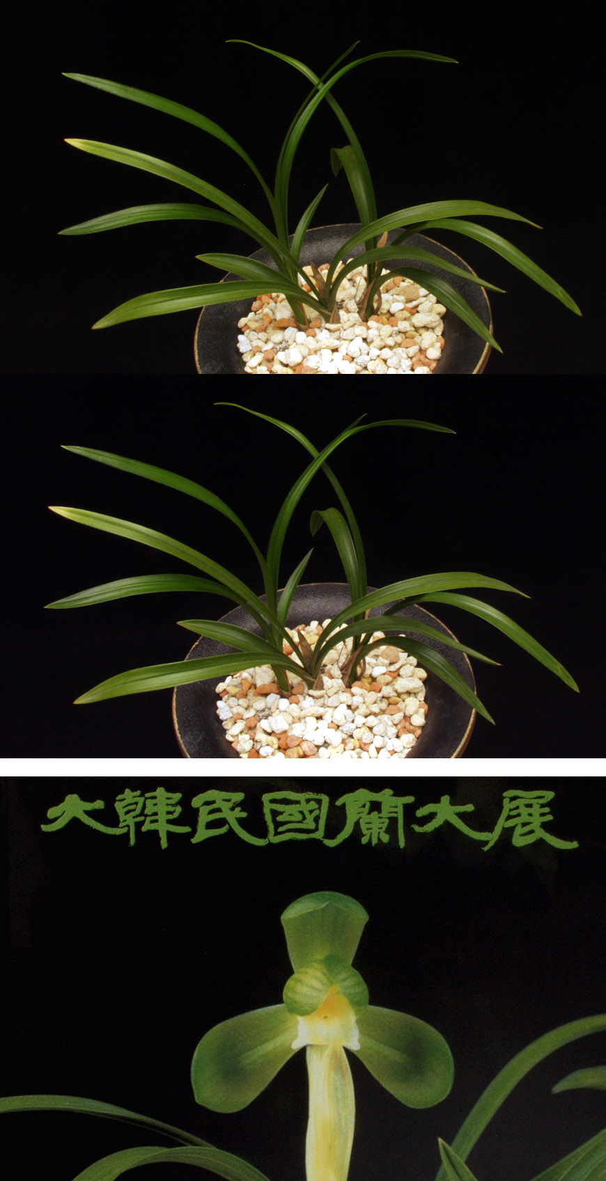 ������ ū������ �� �� �ֽ��ϴ�.