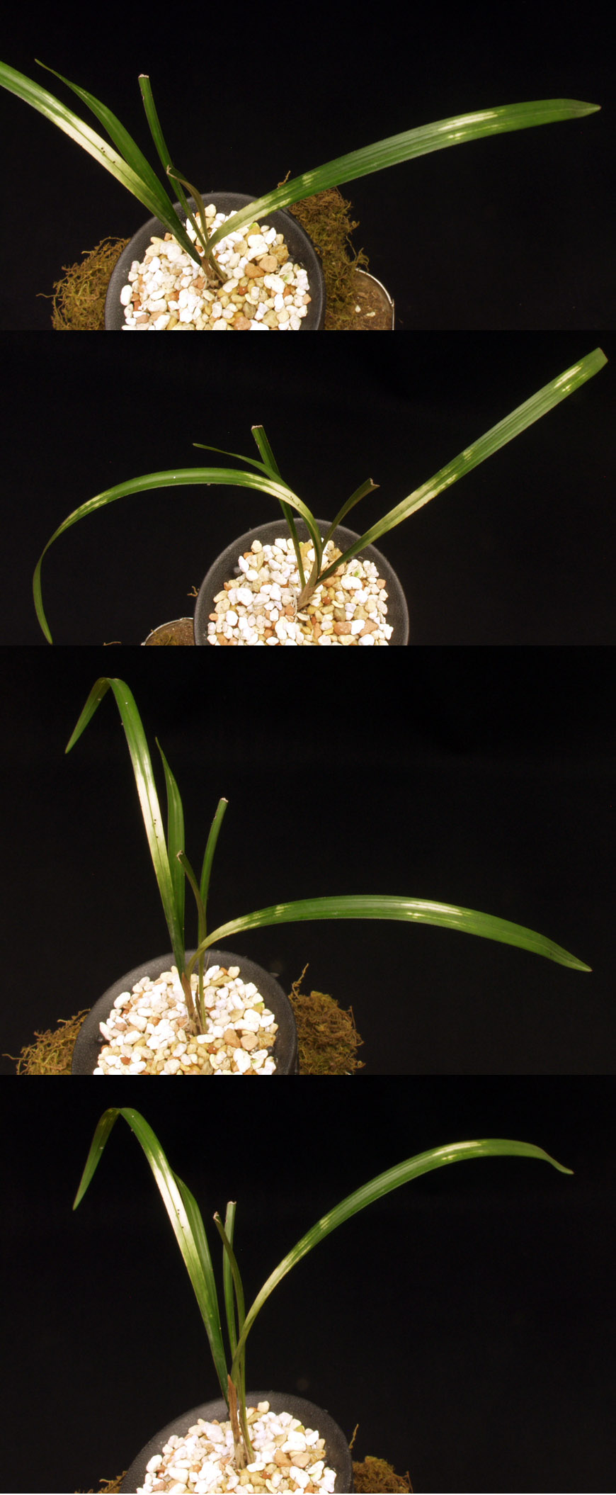 ������ ū������ �� �� �ֽ��ϴ�.