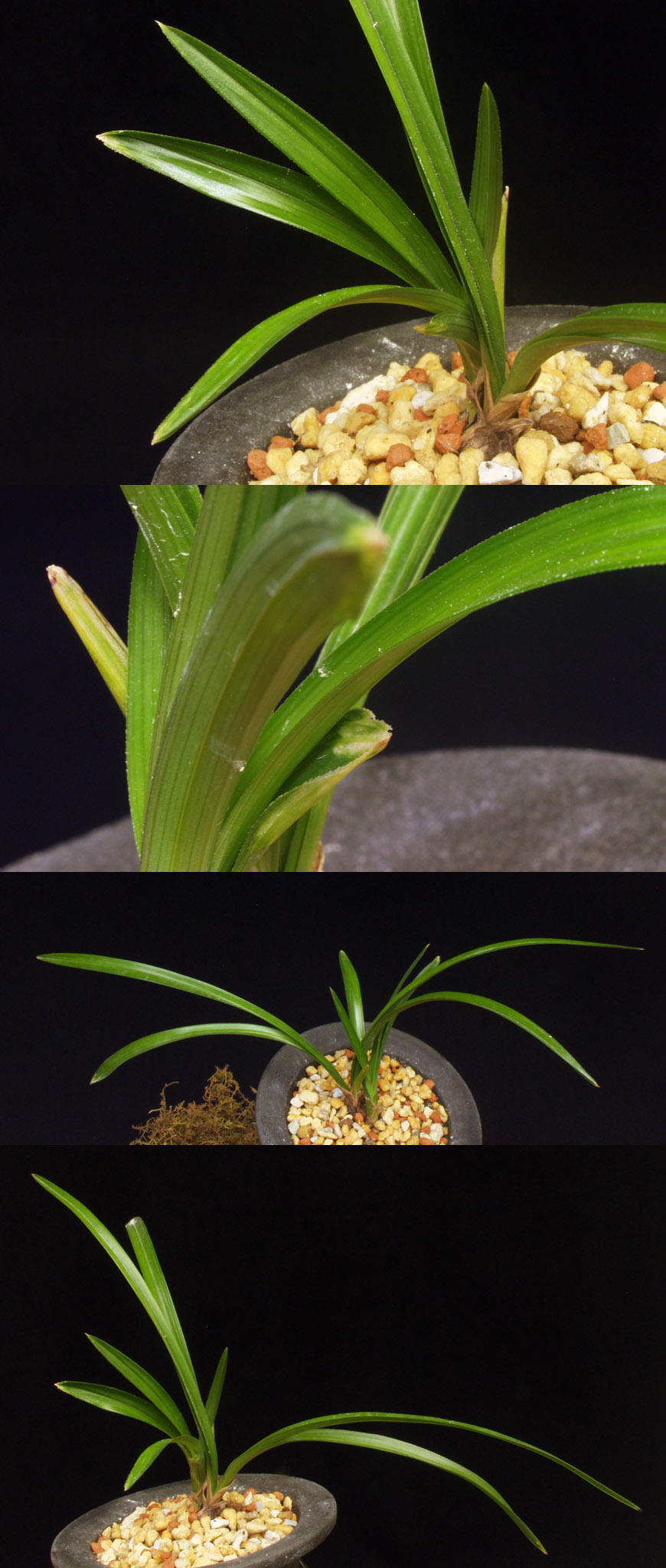 ������ ū������ �� �� �ֽ��ϴ�.