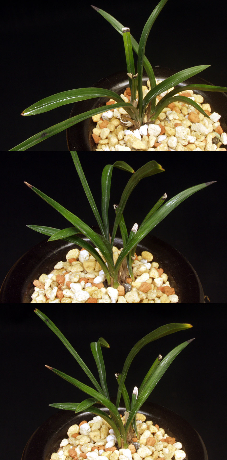 ������ ū������ �� �� �ֽ��ϴ�.