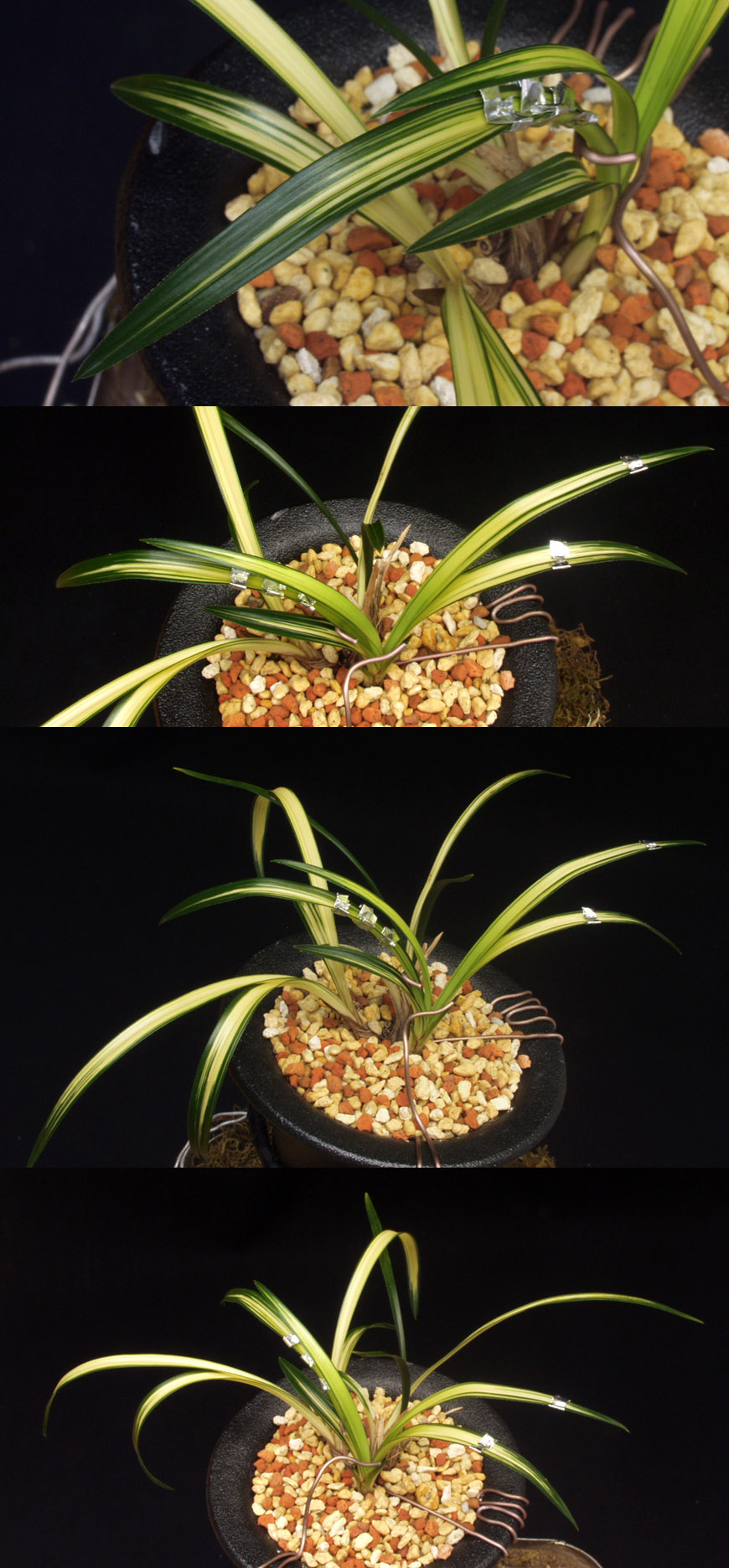 ������ ū������ �� �� �ֽ��ϴ�.