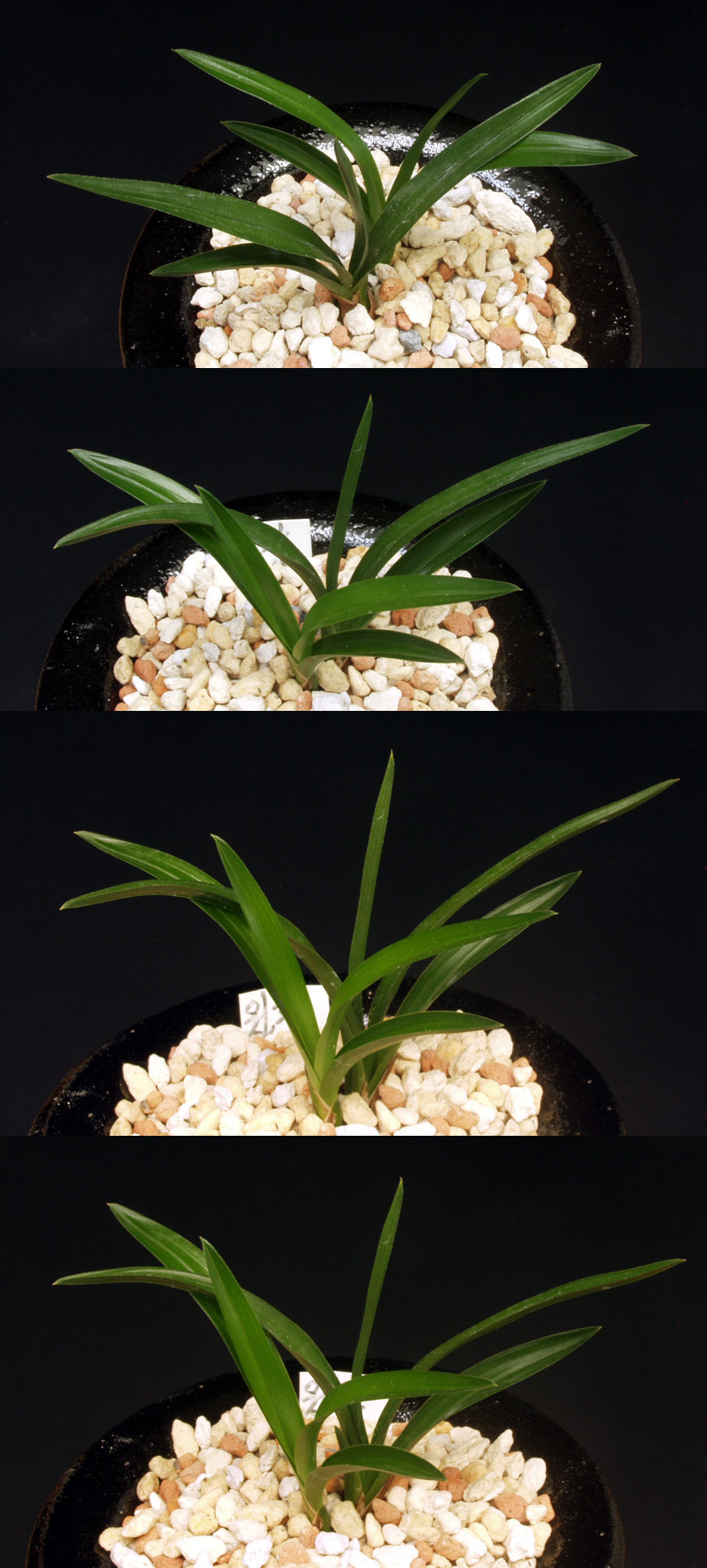 ������ ū������ �� �� �ֽ��ϴ�.