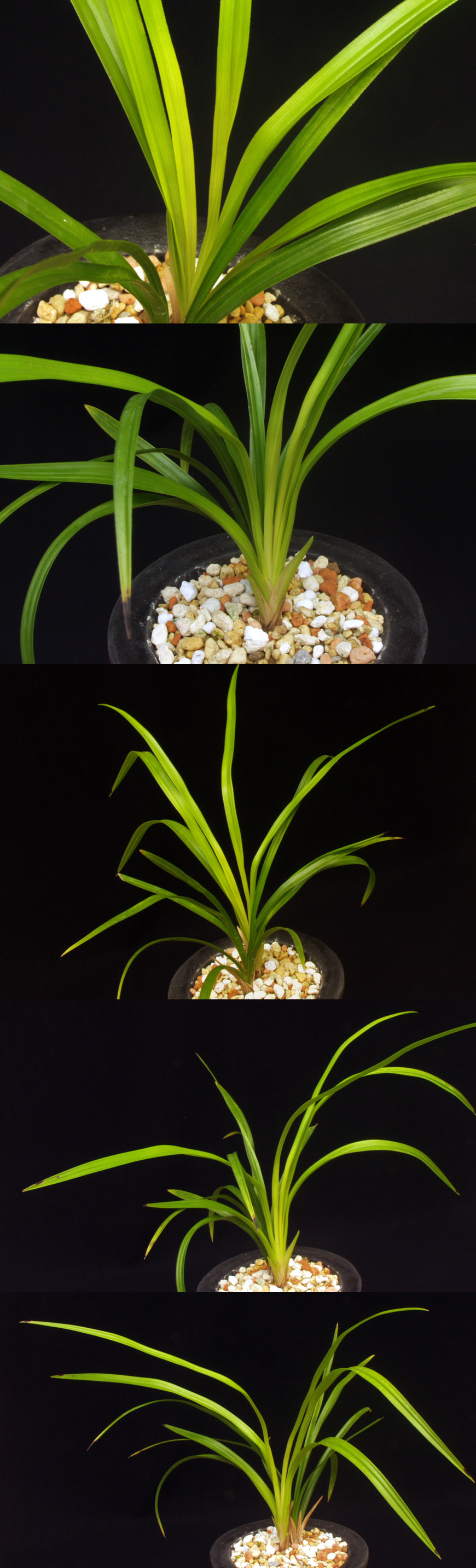 ������ ū������ �� �� �ֽ��ϴ�.