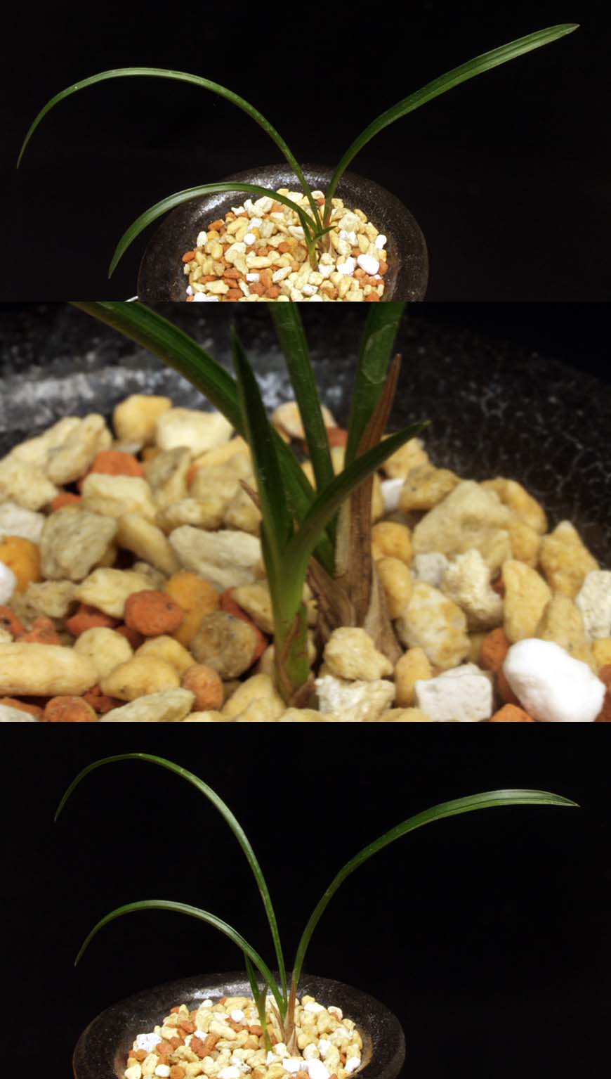 ������ ū������ �� �� �ֽ��ϴ�.