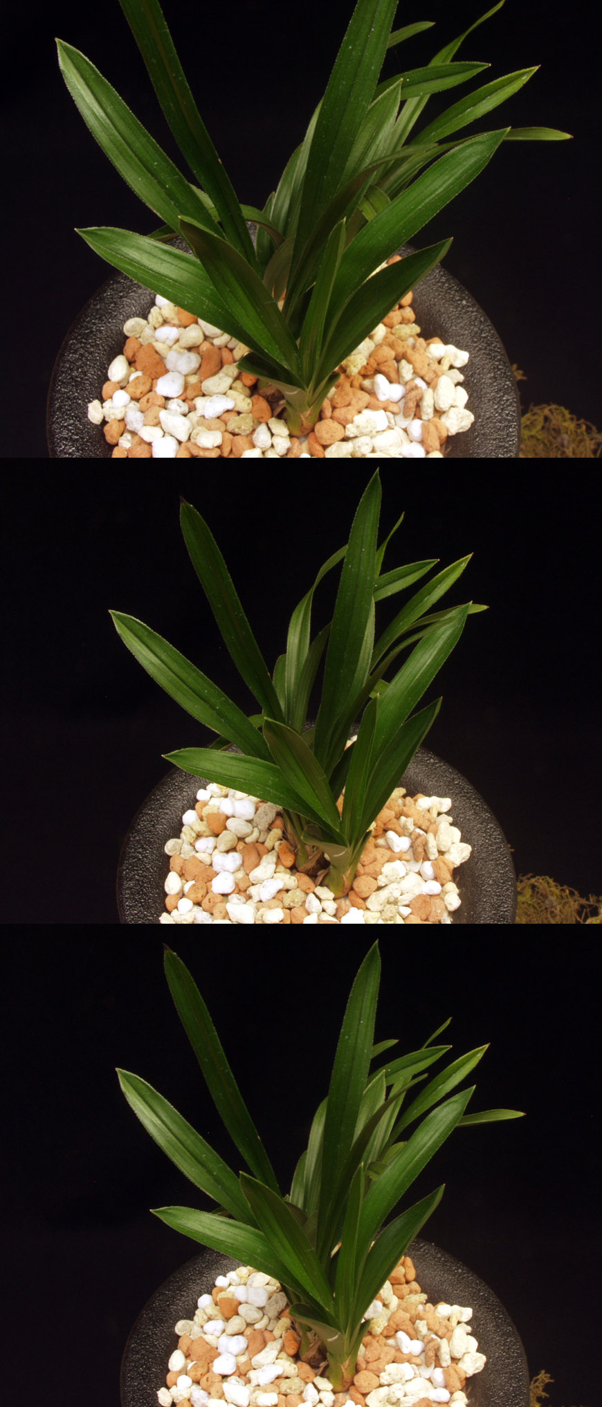 ������ ū������ �� �� �ֽ��ϴ�.