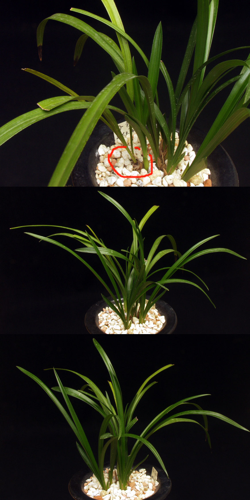 ������ ū������ �� �� �ֽ��ϴ�.