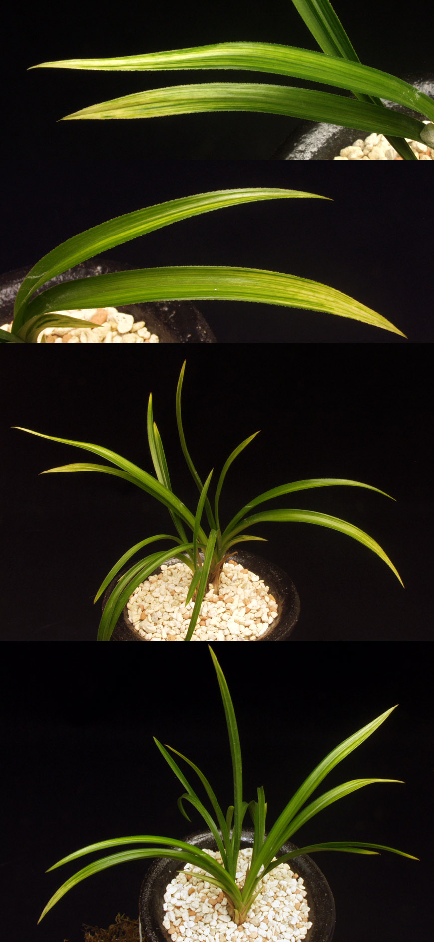 ������ ū������ �� �� �ֽ��ϴ�.