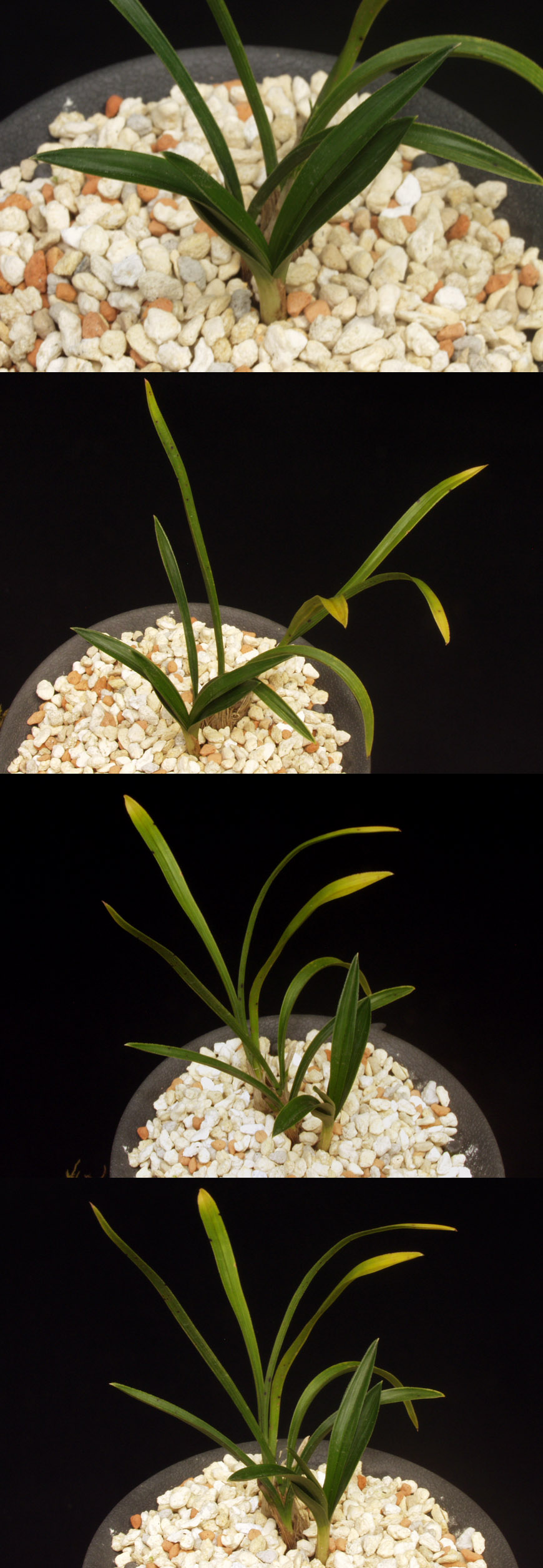 ������ ū������ �� �� �ֽ��ϴ�.