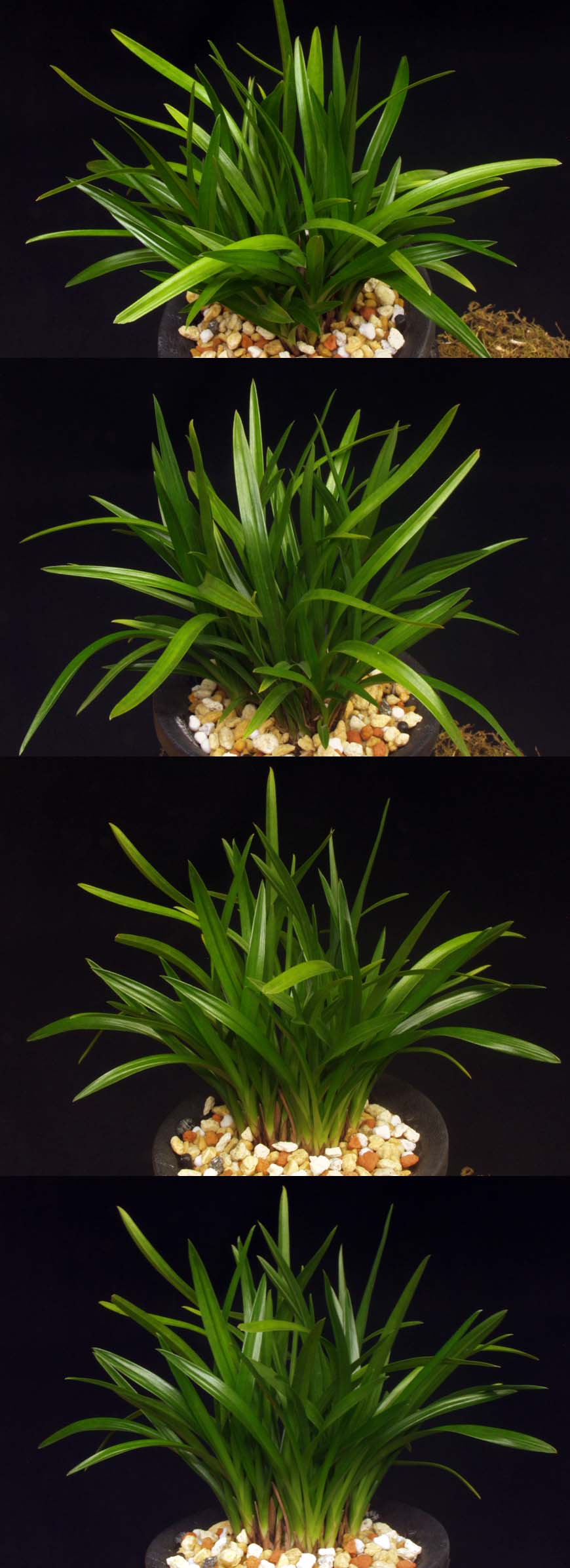 ������ ū������ �� �� �ֽ��ϴ�.