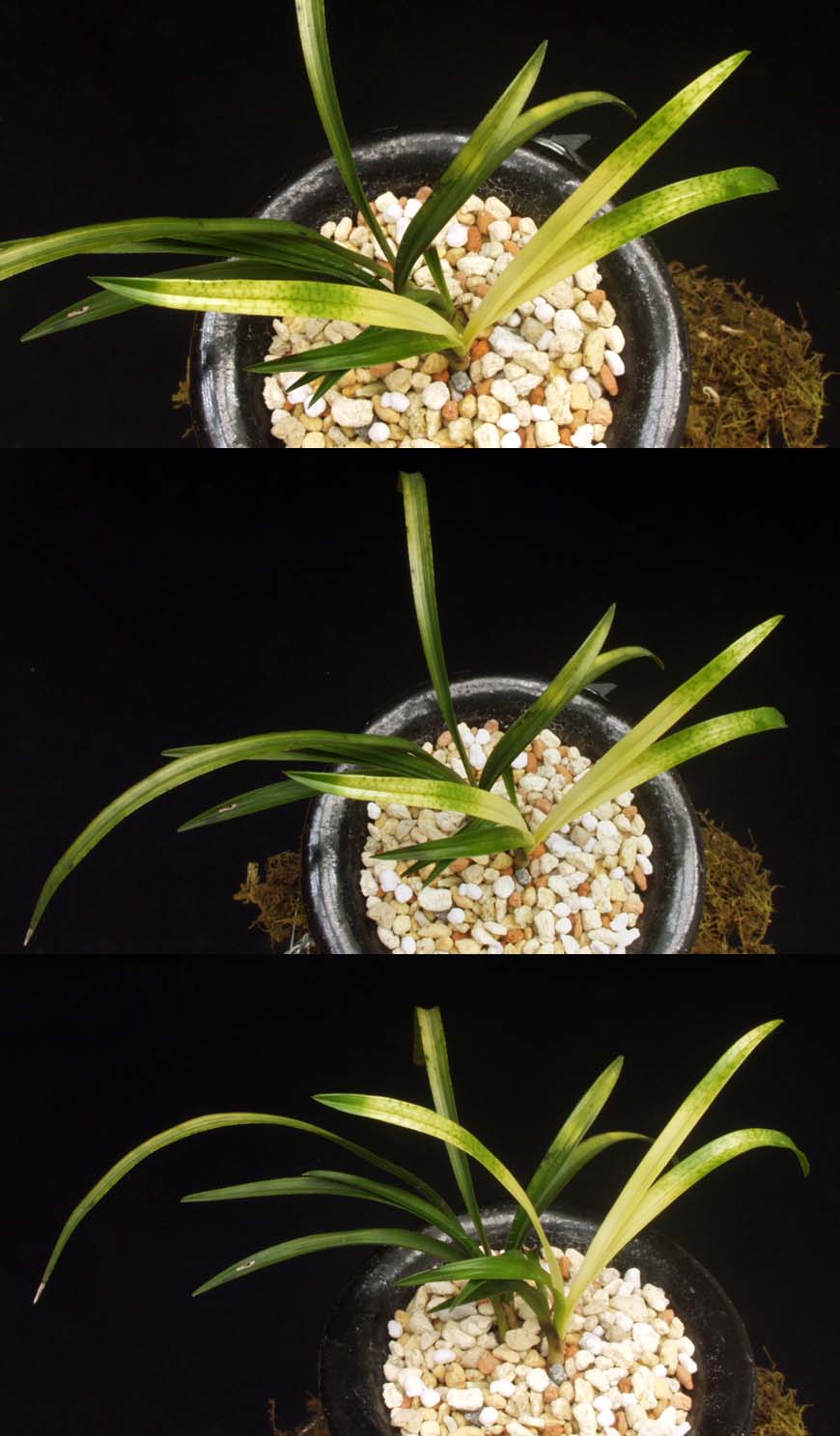 ������ ū������ �� �� �ֽ��ϴ�.